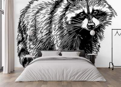 Illustration of a raccoon isolated Wall mural