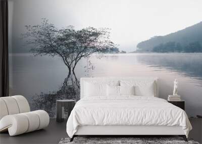 lake and mountains Wall mural