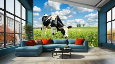 A black and white coloured cow, grazing with her head down in a green meadow with blue sky and white clouds. Wall mural