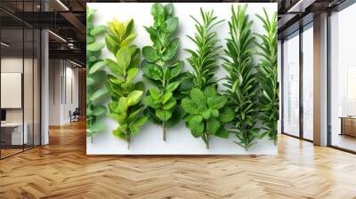 A variety of fresh, green herbs on a white background Wall mural