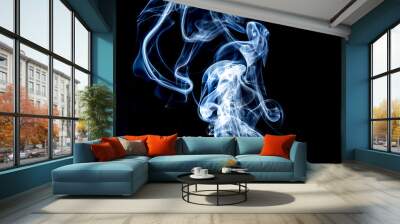 Abstract motion of white smoke isolated on a black background Can be modeled as hot food, smog, small clouds, and aromatic smoke. Wall mural