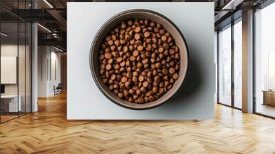 Bowl of Dog Food Wall mural