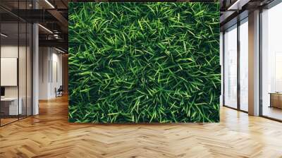 Lush Green Grass Texture Wall mural