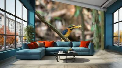 beautiful bird Wall mural