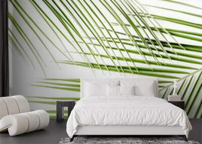 Tropical green palm leaves on white background. Flat lay, top view Wall mural