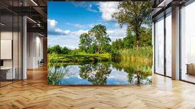 summer landscape, lake view on a sunny day Wall mural