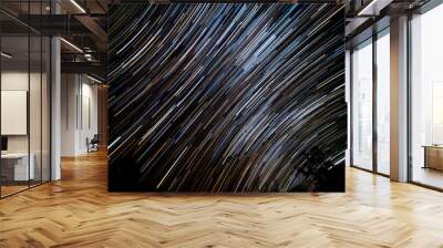 Abstract blur of Light trals star orbit on sky, for background Wall mural