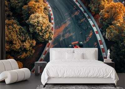 Aerial view of formula one race track Wall mural