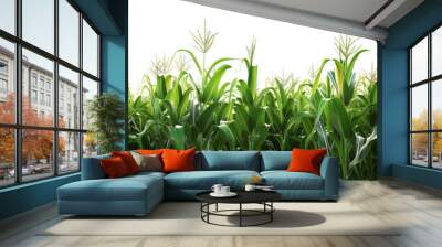 Corn field isolated on transparent background Wall mural