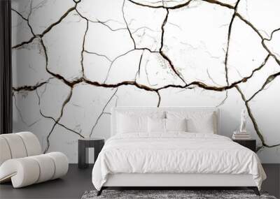 Crack texture lines isolated on transparent background Wall mural