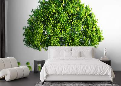 Eco-friendly family green tree isolated on a transparent background Wall mural