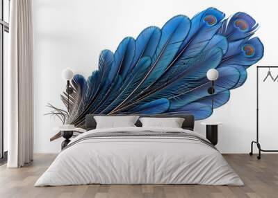 Feathers of a peacock isolated on a transparent background Wall mural