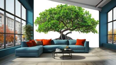 Green mangrove tree isolated on transparent background Wall mural