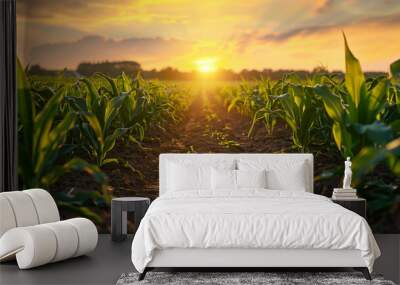 Rural dirt road amidst corn fields at sunset Wall mural