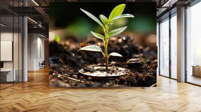 A seedling is growing on a coin lying on the ground Wall mural