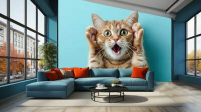 Surprised shocked cat face with paws on head on blue background with copy space.  AI Generative Wall mural