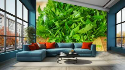 Macro photo of green fresh parsley, vegetable Wall mural