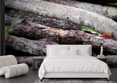 Pile of dry wood with texture Wall mural