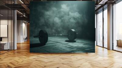 Iron barbells on a dark, smoky cinematic background, facilities in the gym for sports training function to increase bone density, shoulder muscles and also triceps Wall mural