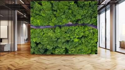 aerial view road in the forest Wall mural