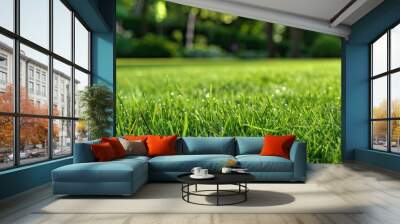 nature green grass plant in garden landscape Wall mural