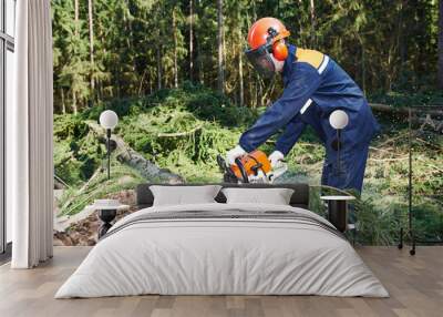 Lumberjack cutting tree in forest Wall mural