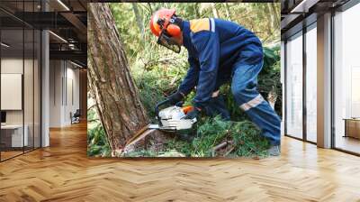 lumberjack cutting tree in forest Wall mural