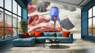 meat factory. Food production Wall mural