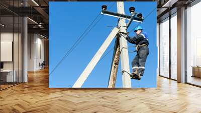 power electrician lineman at work on pole Wall mural