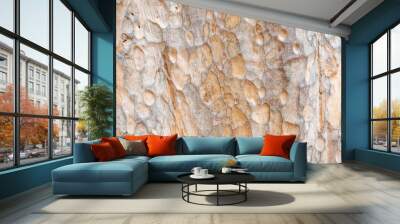 full frame bark of tree for natural background and texture Wall mural