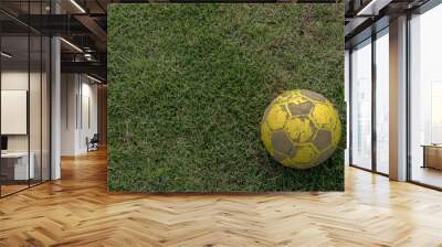 Close-up of old football lying on grass. Wall mural