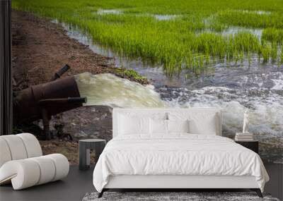 Water rushes violently from a steel pipe into the green rice fields. Wall mural