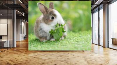 Adorable baby rabbit bunny eating vegetable sitting on green grass spring time over bokeh nature background. Cuddly furry white brown rabbit eat fresh vegetable at outdoor. Easter animal concept.. Wall mural