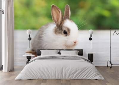 Lovely baby rabbit furry bunny looking something sitting alone on wooden over blurred green nature background. Adorable little bunny ears rabbit playful on green spring time. Easter animal concept. Wall mural