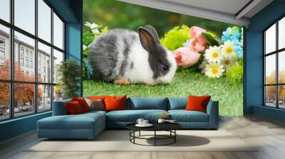 Lovely rabbit ears bunny cleaning leg paw on green grass with flowers over spring time nature background. Little baby rabbit white grey  bunny curiosity clean paw sitting on meadow summer background. Wall mural