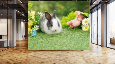 Lovely rabbit ears bunny sitting playful on green grass with flowers over spring time nature background. Little baby rabbit white black bunny curiosity standing playful meadow summer background.Easter Wall mural