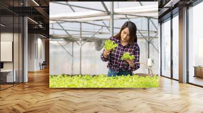 Owner small business entrepreneur organic vegetable farm and healthy food concept. Young farmer woman checking fresh lettuce organic vegetable with basket at greenhouse hydroponic organic farm Wall mural