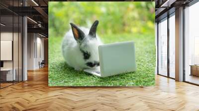 Tiny cuddly rabbit bunny with small laptop sitting on the green grass. Lovely white black baby rabbit looking at something with notebook on lawn natural background. Easter fluffy bunny concept Wall mural