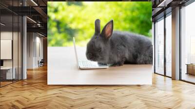 Tiny rabbit furry bunny small laptop online sitting on bokeh spring green background. Lovely baby rabbit looking notebook sitting on wooden natural background. Easter fluffy concept pet technology. Wall mural