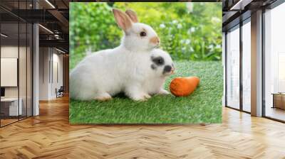 Two adorable baby rabbit bunny eating fresh orange carrot sitting together on green grass over bokeh nature background. Little rabbit furry bunny eat fresh carrot. Easter animals family bunny concept. Wall mural