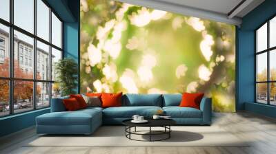 Abstract light from leaves is blurred and colorful. Wall mural