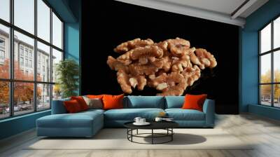 Walnuts In Black Background Wall mural