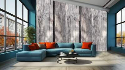 gray faded boards in sunlight vertical stripes background Wall mural