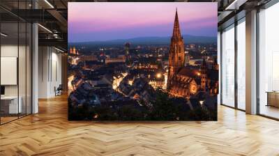 Munster Freiburg in Germany Baden Wurttemberg Blue Hour Long Exposure Wall mural