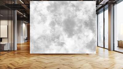 Abstract grey storm cloud texture. White dramatic smoke brush effect smoke swirls misty fog isolated, background. Gray grunge painted paper textured canvas for design watercolor scraped vector.	
 Wall mural