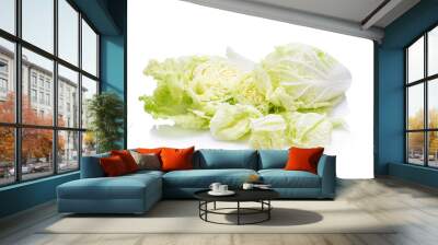 fresh chinese cabbage on a white background Wall mural