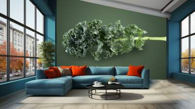 Fresh green leaves of Kale. Green vegetable leaves on green background Wall mural