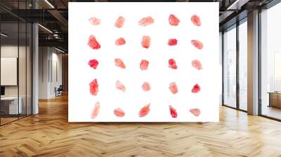 Himalayan pink salt raw crystals Isolated on White Background. Top view Wall mural