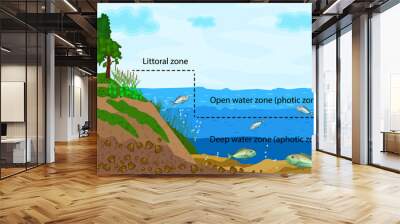 Lake ecosystem. Zonation in lake water infographic. Pond or river freshwater zones diagram with text for education. Lake ecosystems division into littoral, open water and deep water zones. Vector Wall mural