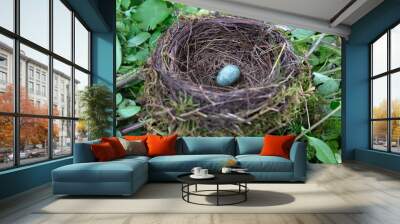 Abandoned Starling Bird Nest with Egg Wall mural